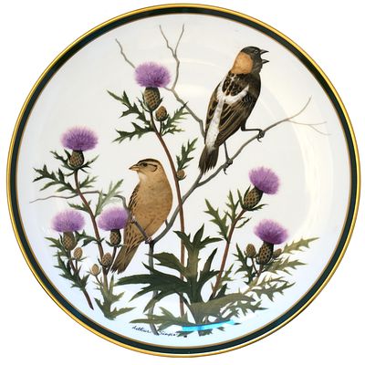 Фарфоровая тарелка Национального общества Одюбона "Певчие птицы мира" . Коллекционная тарелка 
