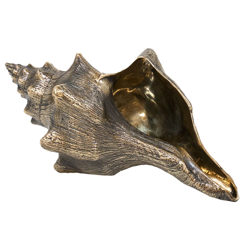 Бронзовая скульптура "Ракушка", ручная работа. Бронзовая скульптура ракушка 
напоминает о 