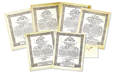 Classics. Mishna Berurah. Complete Set. First Editions! Warsaw 1884-1907. 3 Volumes with "Muga" 