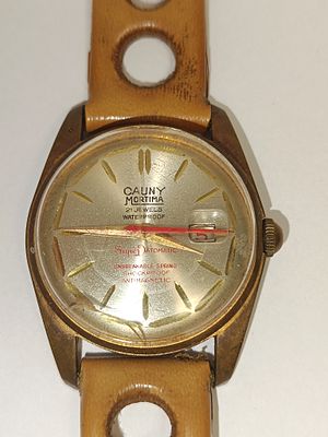 Cauny Mortima watch in steel and plaque