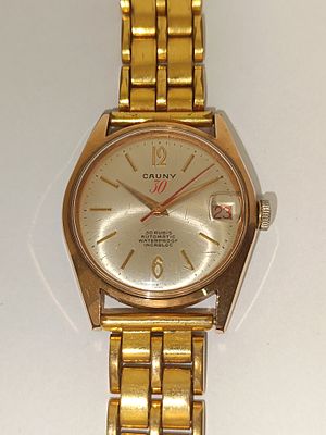 Cauny Prima men's watch 30 rubies in steel and plaque