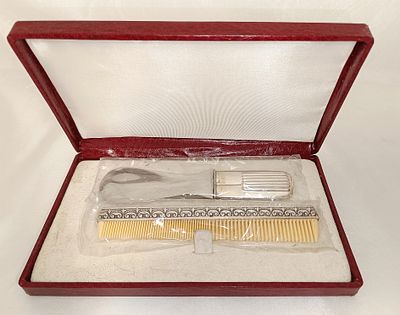 Silver shoehorn and comb set with case