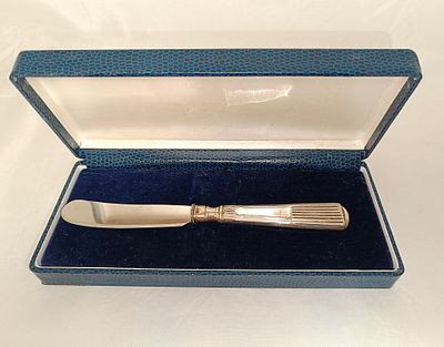 Butter knife with silver handle and case