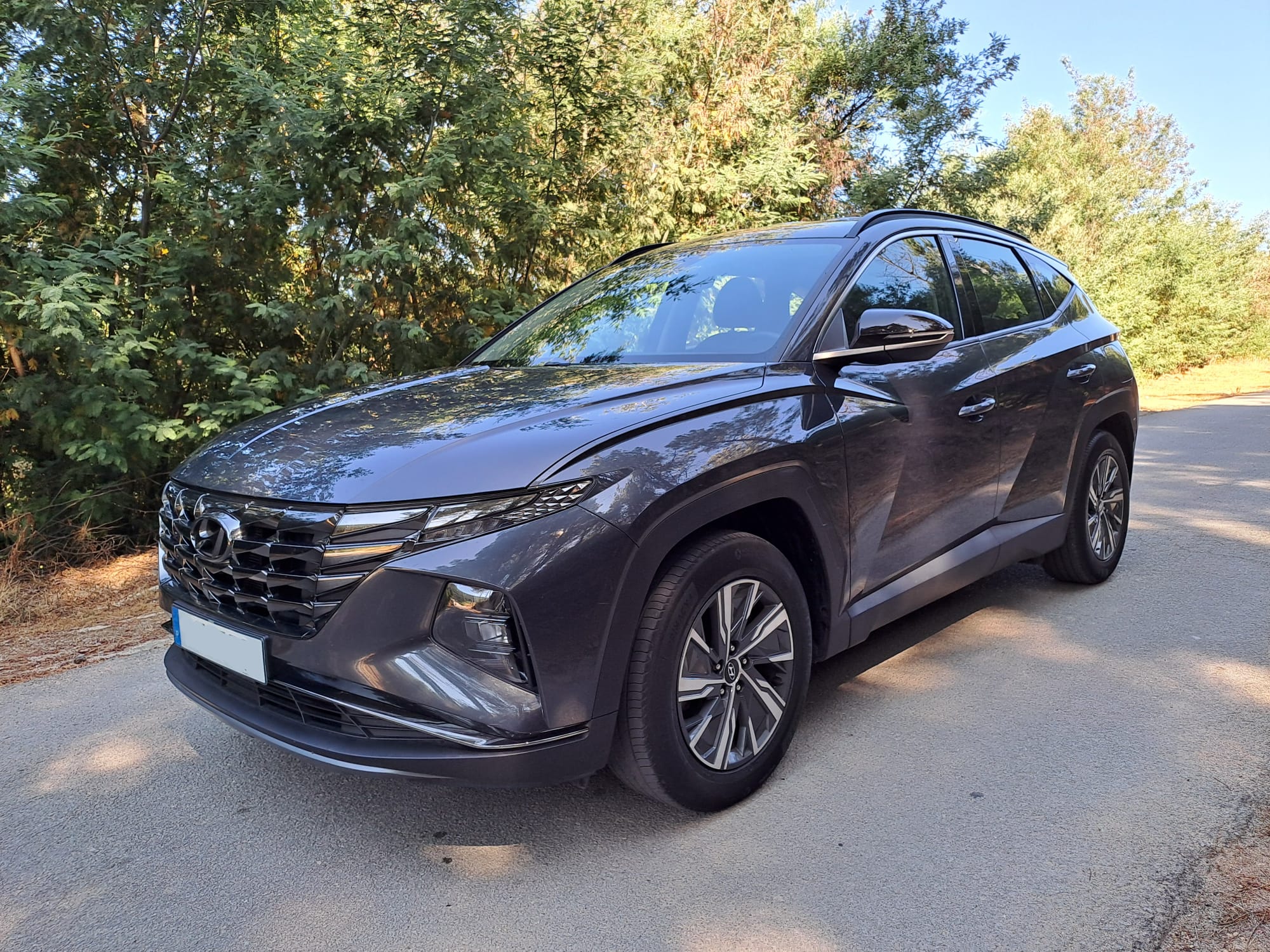 NowLeiloes | Auction hy