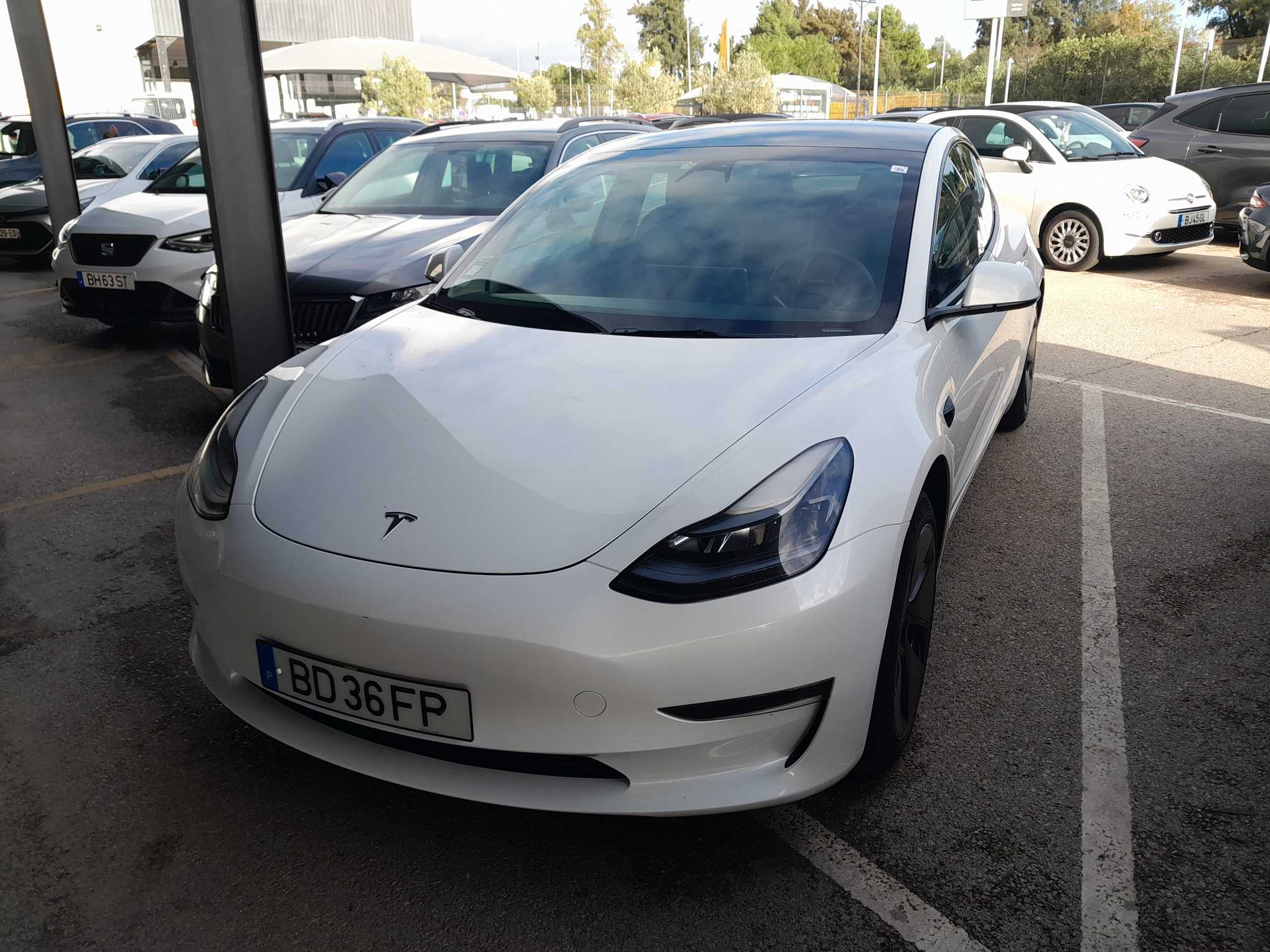 NowLeiloes | Leil&atilde;o TELS | Lotes Teslas Nacionais LONG-RANGE DUAL MOTOR - Buy Now!