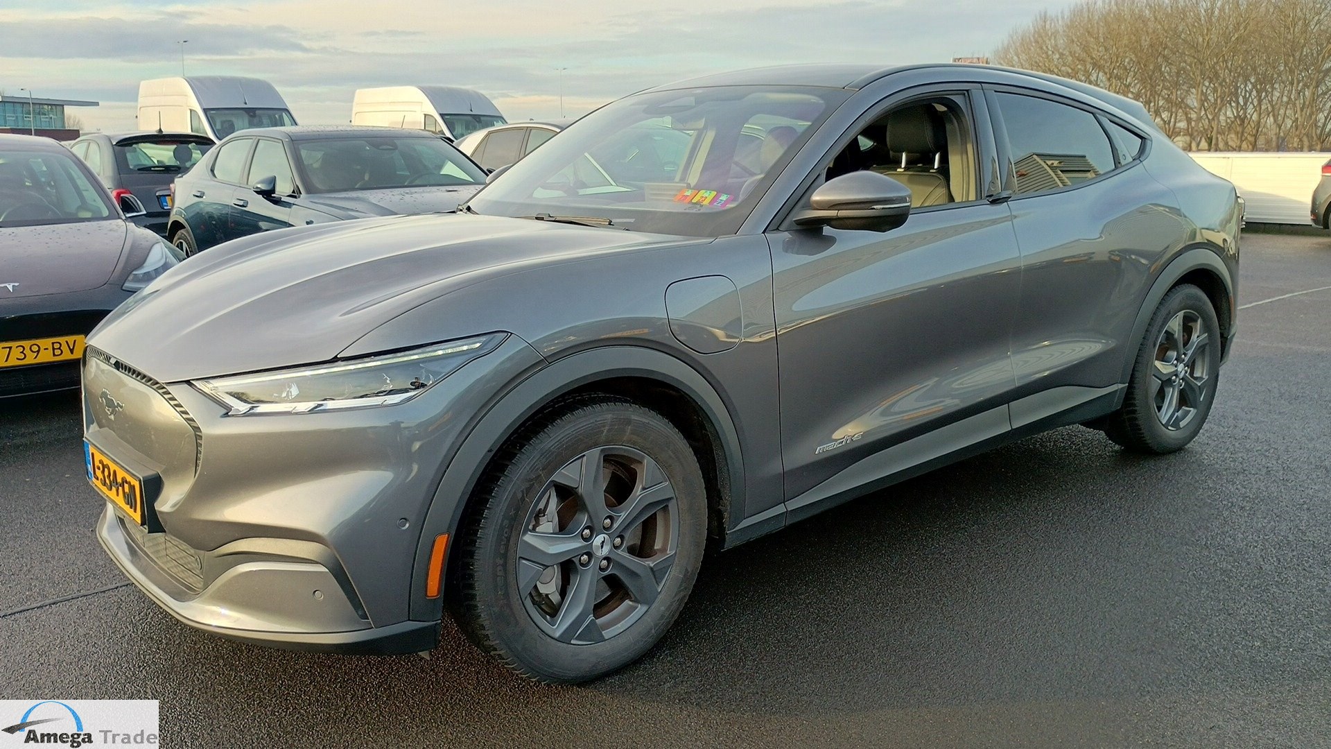 NowLeiloes | Auction Ford