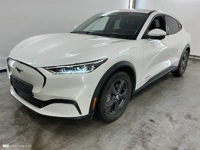 NowLeiloes | Auction Ford
