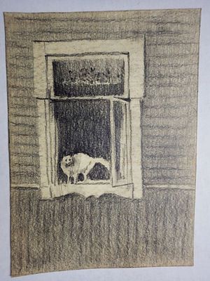 Долинина А.А. - "Кошка на подоконнике". Бумага, карандаш. Размер листа - 25 х 18 см. 1960-е годы.