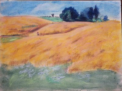 Долинина А.А. - "Поля. Лето". Бумага, пастель. Размер листа - 36 х 48 см. 1980-е годы. 
Долинина 