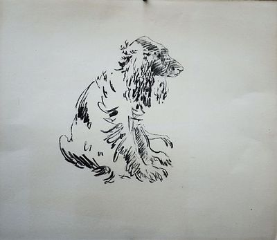 Шорр Т.Я. "Спаниель" . Литография. Размер листа - 45,5 х 52 см. 1960-е годы. 
Шорр Теодора 