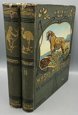 Корниш Чарльз Д. Жизнь животных в фотографиях с натуры в 2 томах (комплект). . Общедоступная 