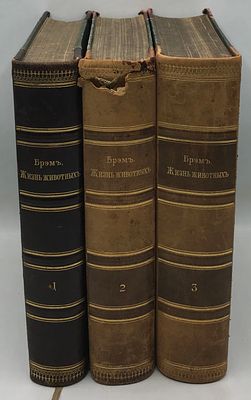 Жизнь животных Брэма. В 3-х томах. Комплект. . СПб. Книгоиздательское товарищество Просвещение. 