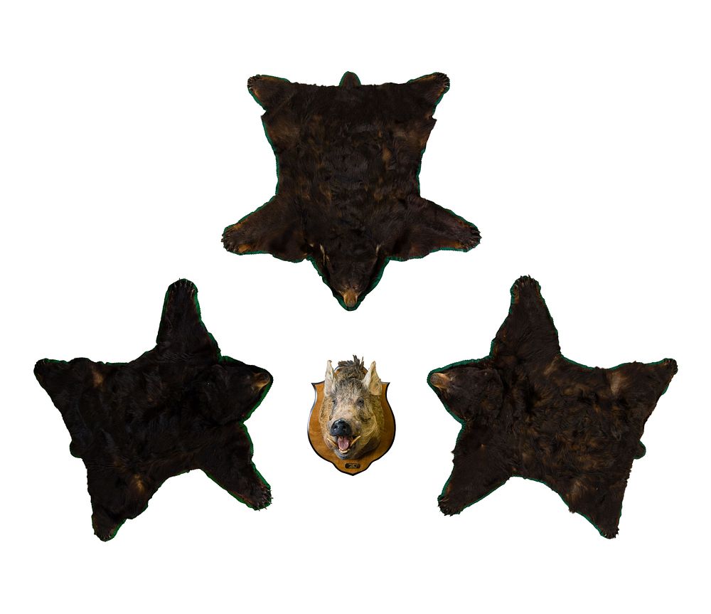Lot 300: Black Bear Rugs