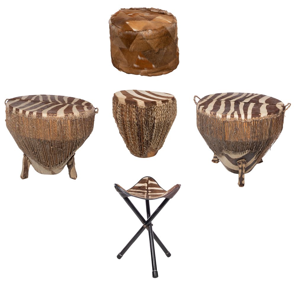 Lot 301: Zebra Hide Assortment