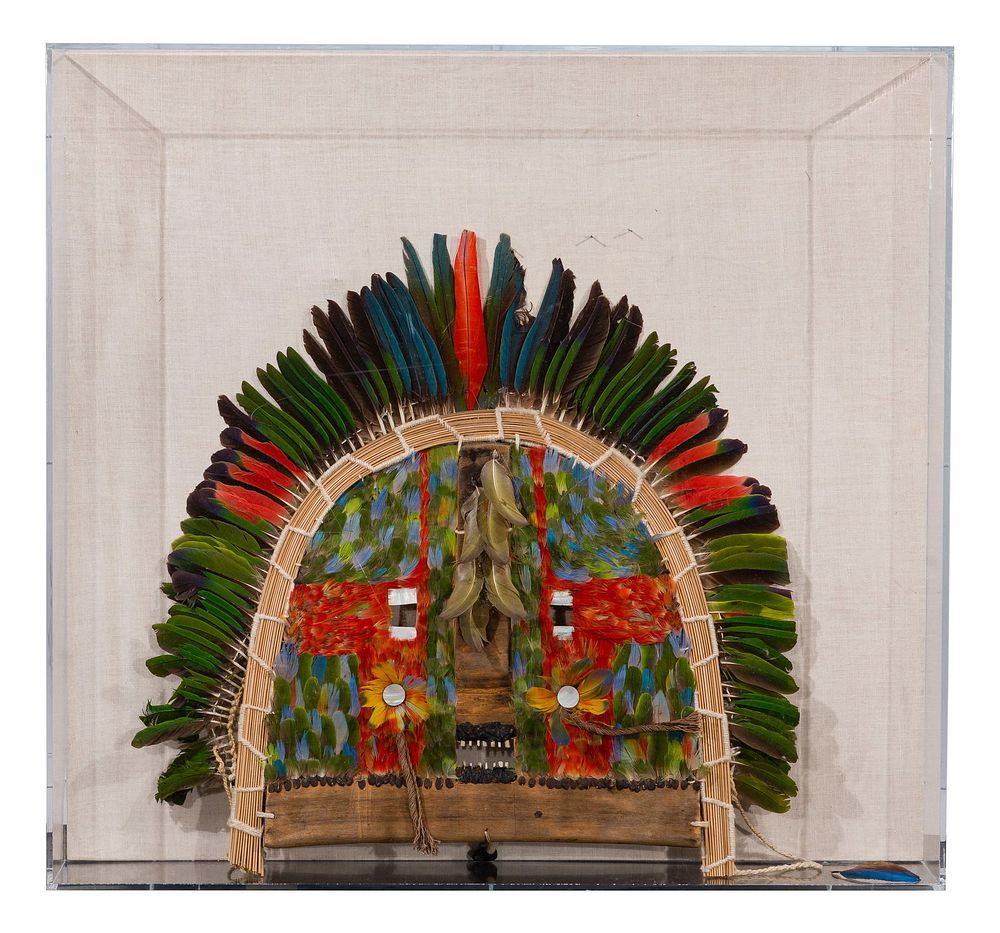 Lot 174: Kayapo Headdress