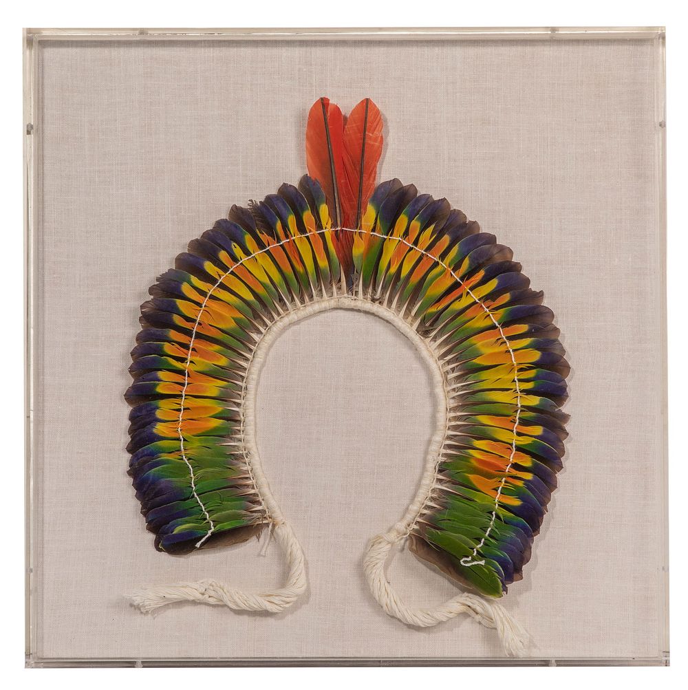 Lot 185: Kayapo Headdress