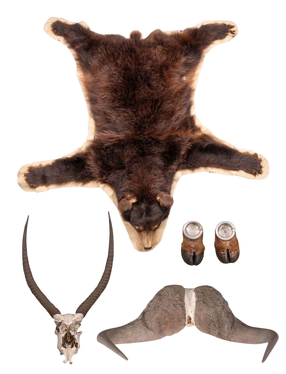 Lot 320: Taxidermy and Skull Assortment