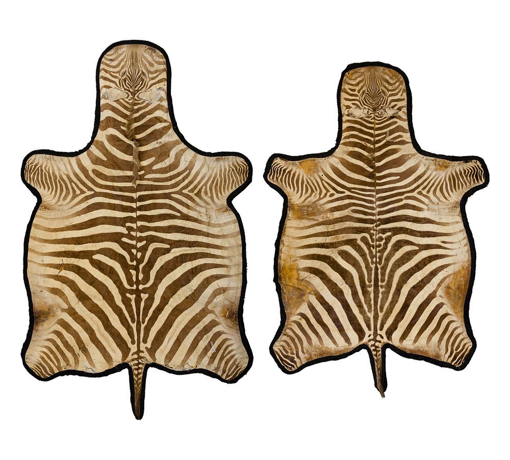 Lot 321: Zebra Skin Rugs