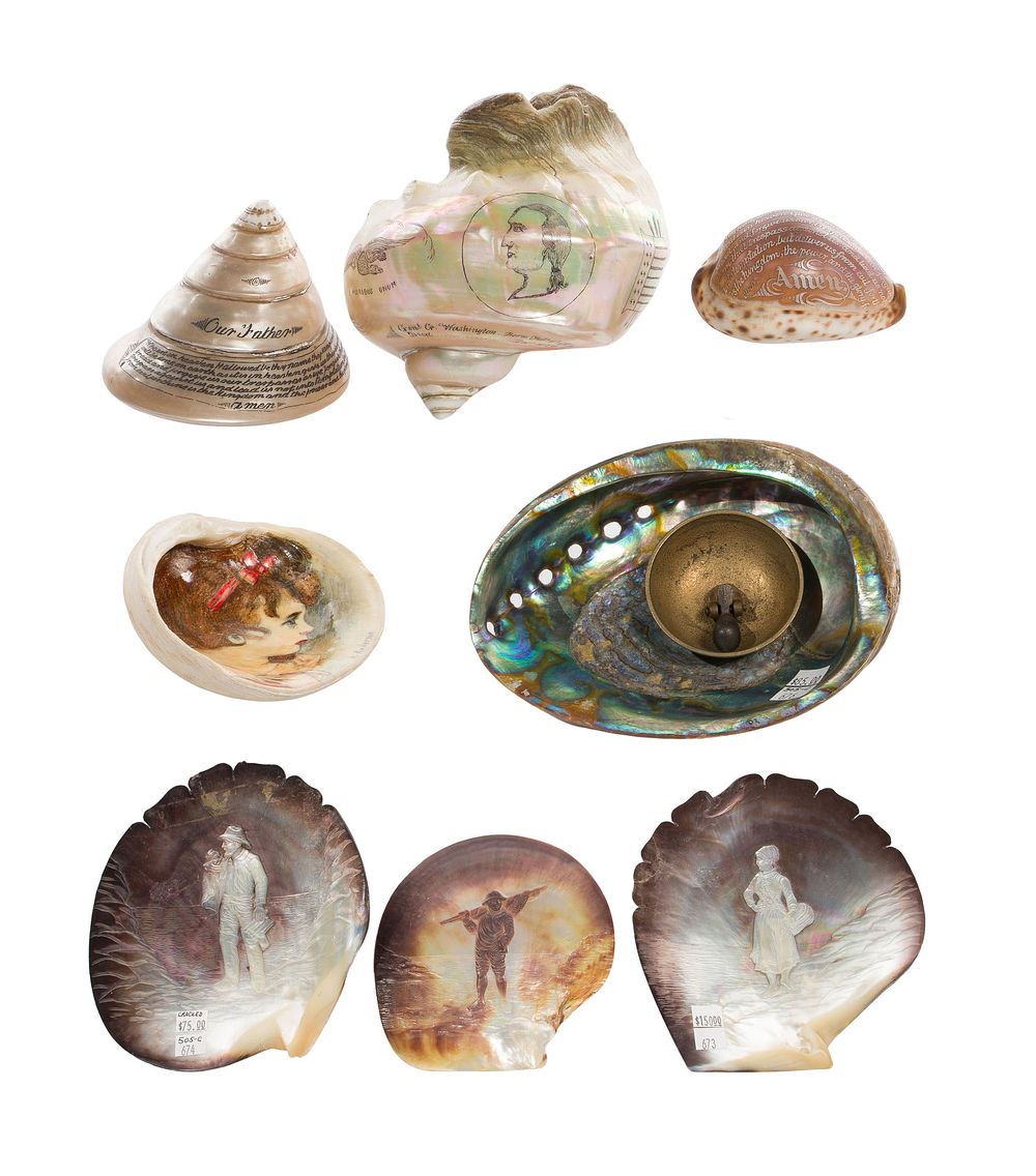 Lot 483: Etched Seashell Art Assortment