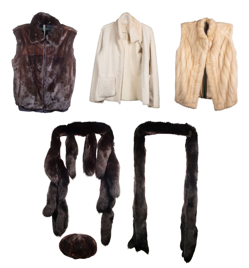Lot 342: Fur Assortment