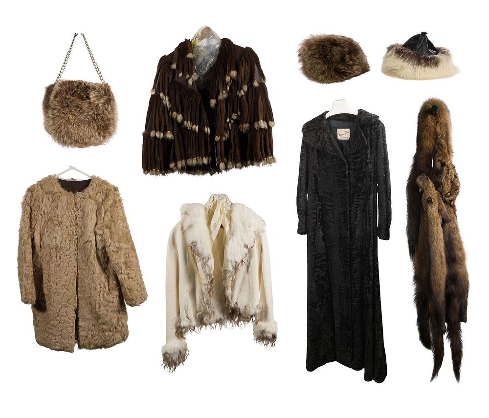 Lot 343: Fur Assortment