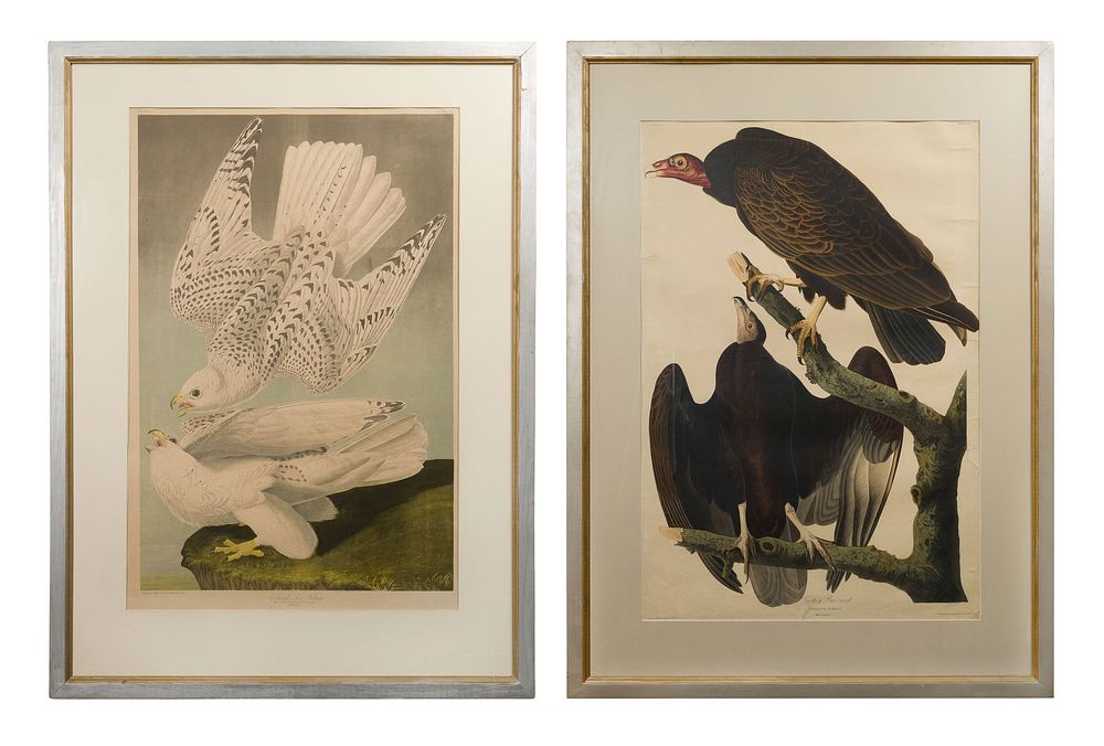 Lot 160: After John James Audubon (American, 1785-1851) Bien Edition Chromolithographs