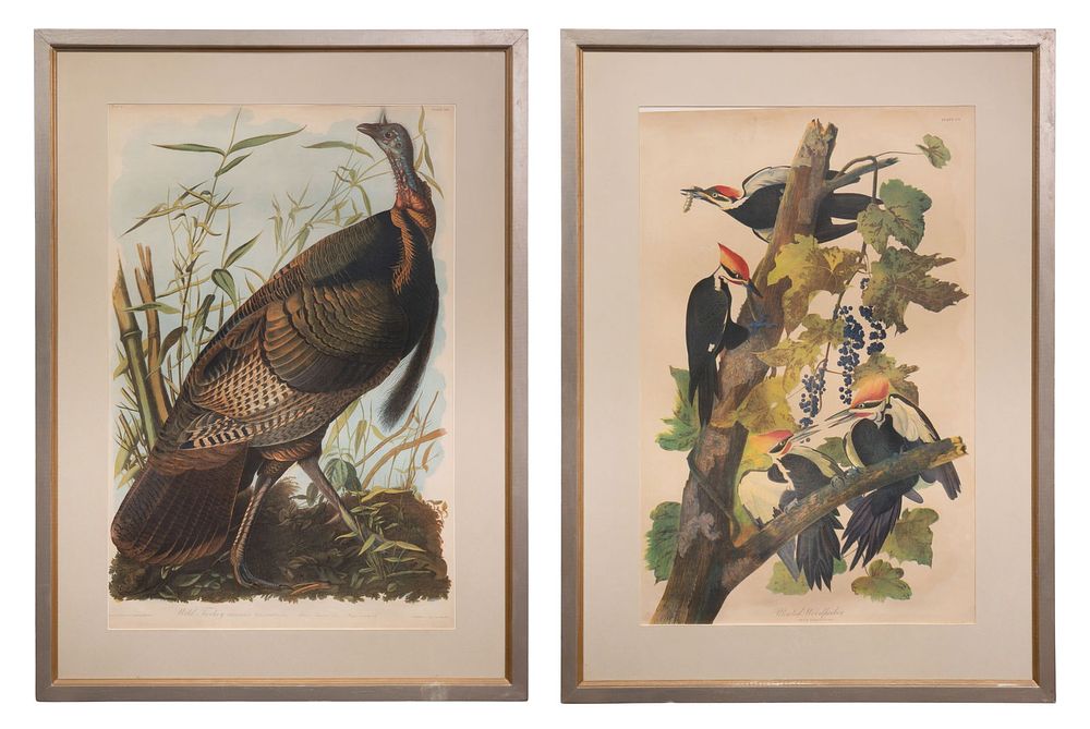 Lot 161: After John James Audubon (American, 1785-1851) Bien Edition Chromolithographs