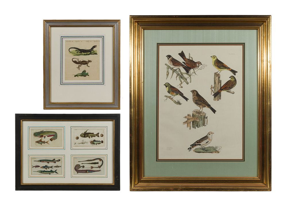 Lot 241: After Jacob Nilson (German, 1758-1811) Hand Colored Copper Plate Etching Assortment
