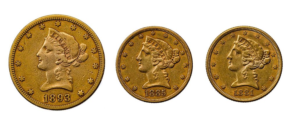 Lot 212: 1893-S $10 Gold, 1881 $5 Gold and 1885 $5 Gold