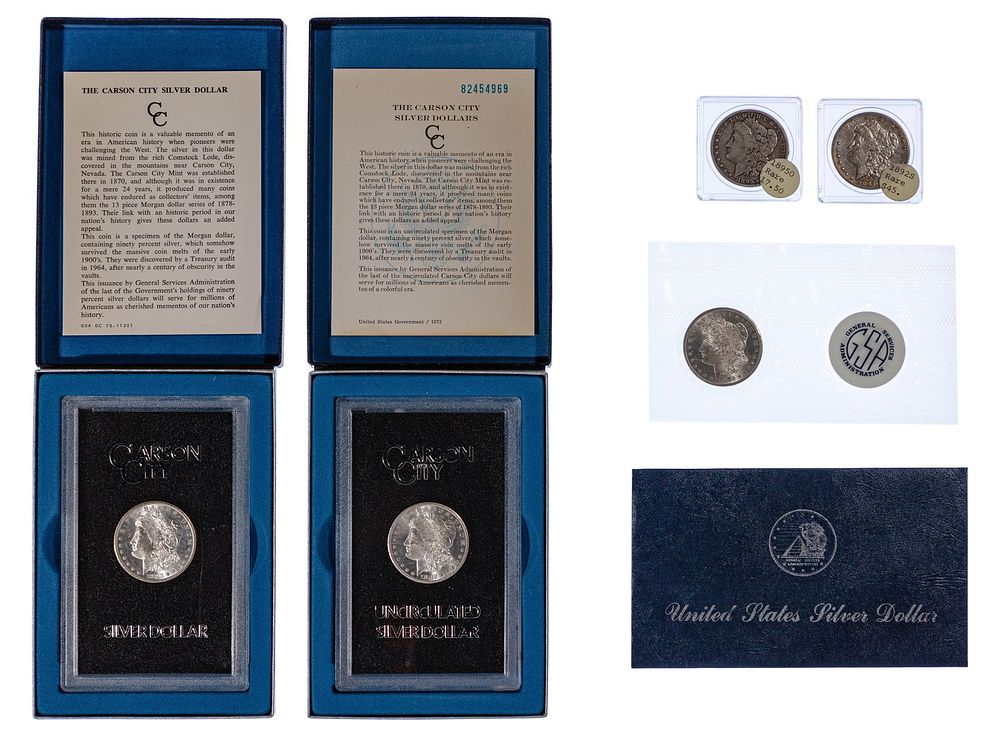 Lot 230: Morgan $1 Assortment
