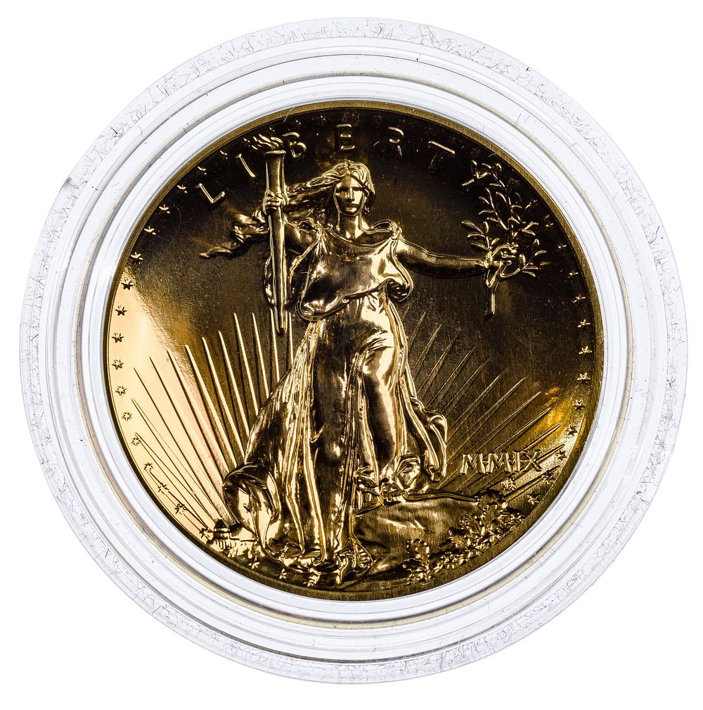 Lot 276: 2009 $20 Eagle Gold
