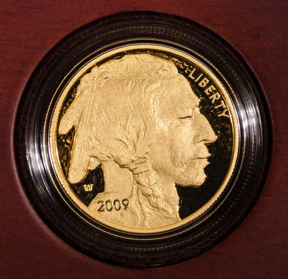 Lot 282: American Buffalo $50 Gold