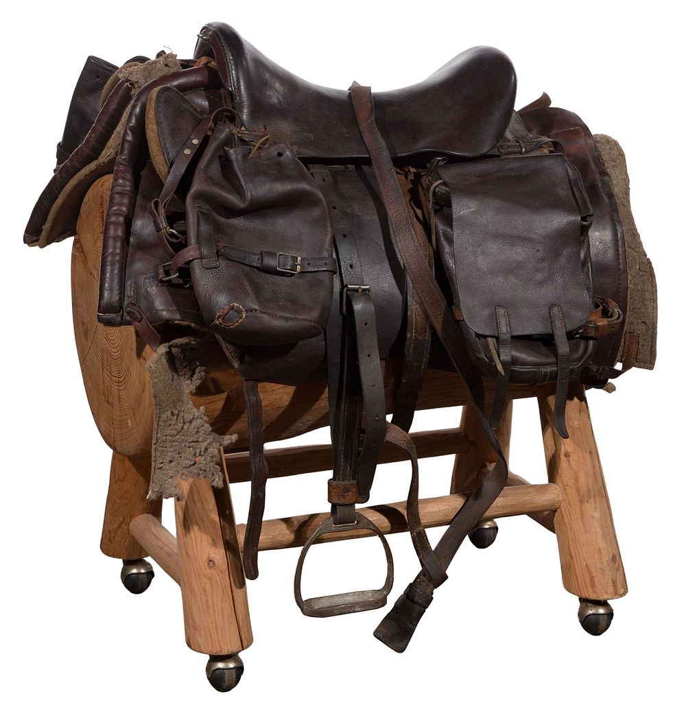 Lot 379: Brown Leather Horse Saddle and Saddle Bags