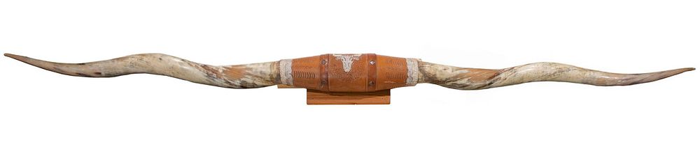 Lot 457: Longhorn Steer Horns Wall Mount