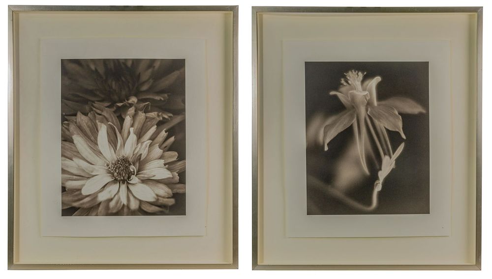 Lot 155: Rod Cook (American, b.1947) Photographs