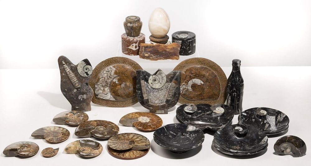 Lot 477: Carved Fossil Assortment