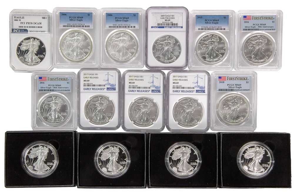 Lot 313: American Eagle Silver Coin Assortment