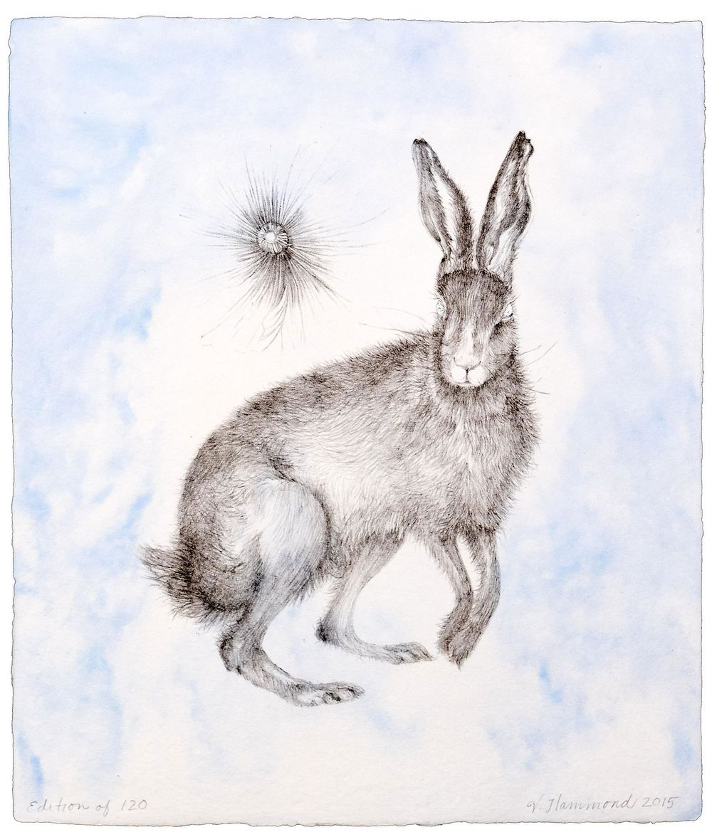 Lot 162: Valerie Hammond (American, b.1952) 'Hare' Lithograph