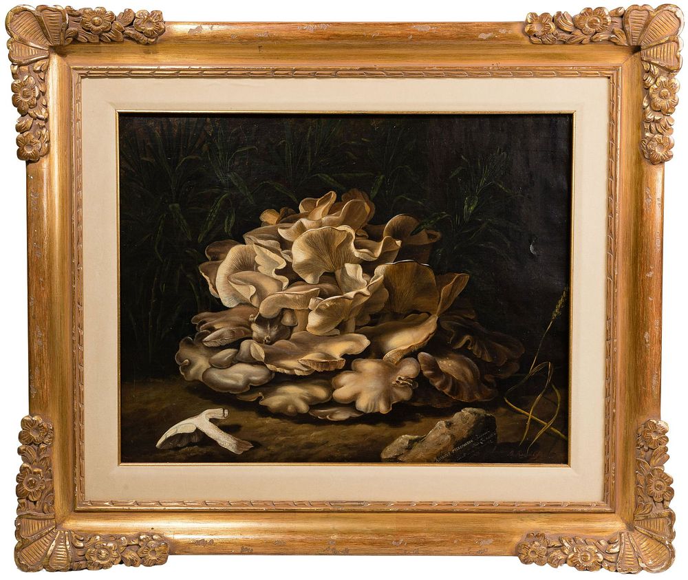 Lot 214: Benjamin Raspail (French, 1823-1899) 'Agaricus Pterophorus' Oil on Canvas