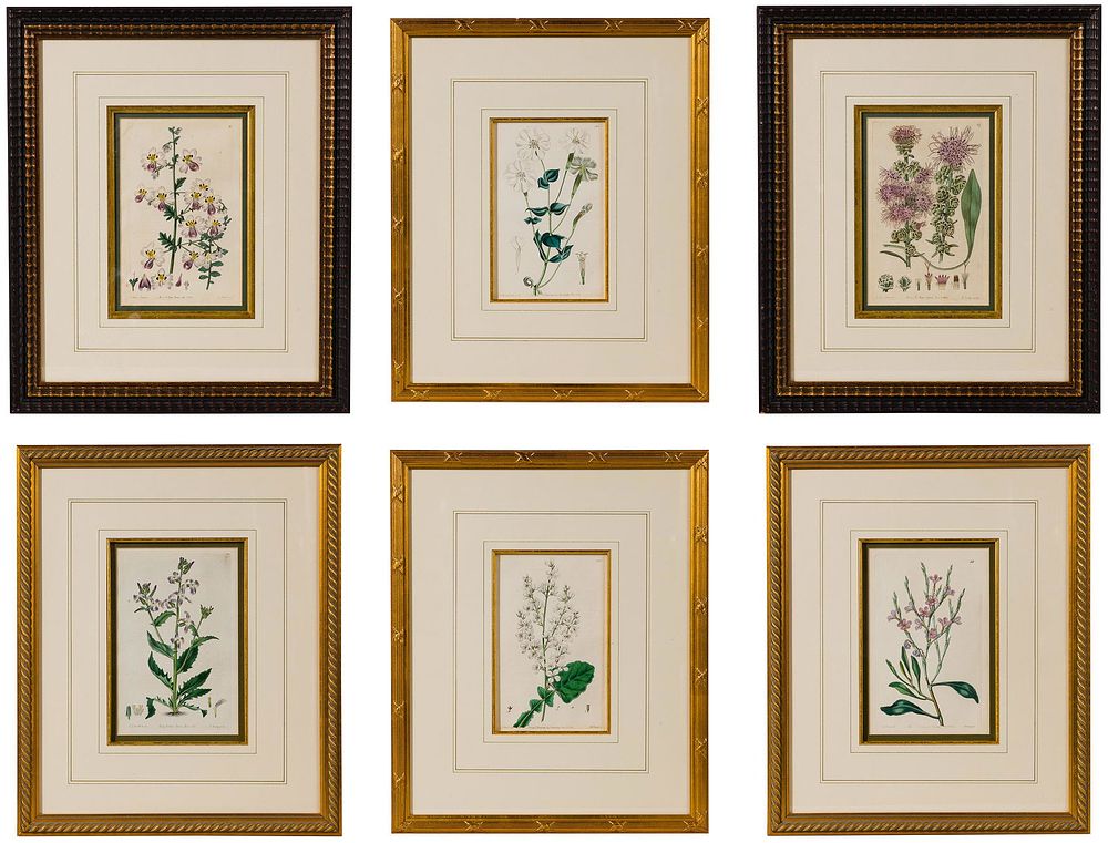 Lot 466: Botanical Etching and Print Assortment