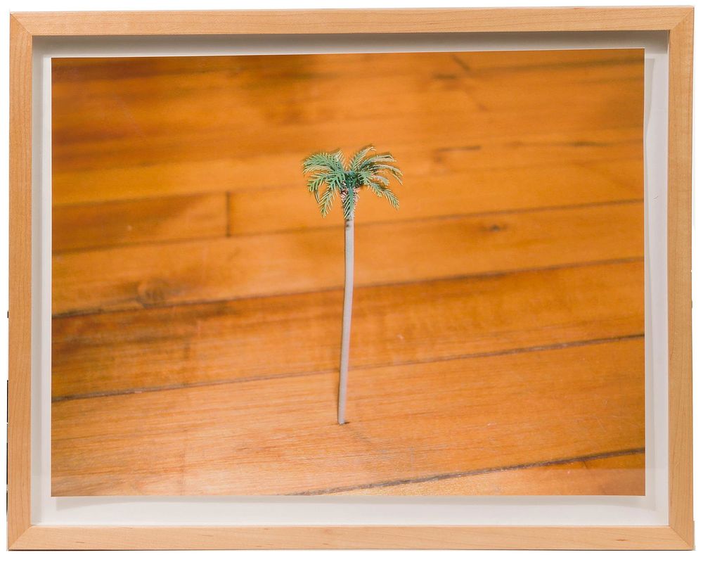 Lot 259: Ken Fandell (American, b.1971) 'A Palm Tree in my
