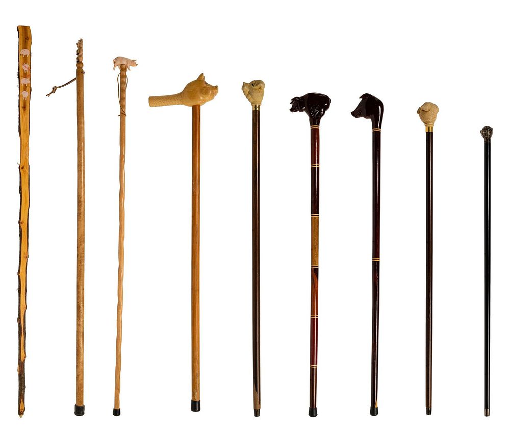 Lot 351: Pig Cane and Walking Stick Assortment