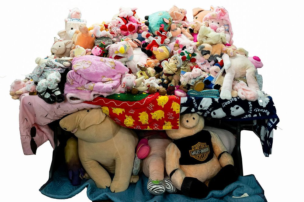 Lot 366: Pig Stuffed Animal Assortment