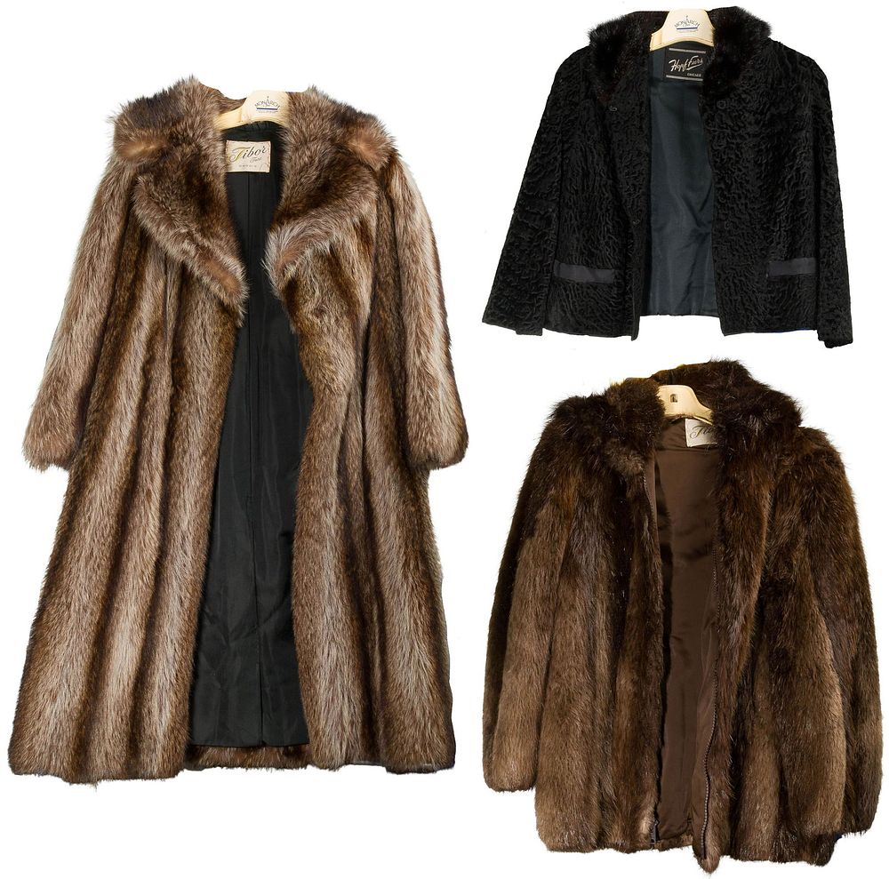Lot 404: Raccoon and Persian Lamb Coat Assortment