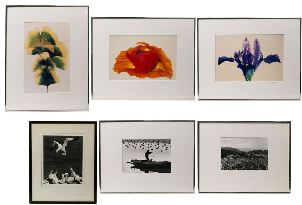 Lot 179: Mary Kaga (South Korean / American, 21st Century)
