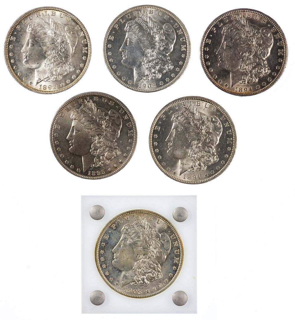Lot 464: Morgan $1 Assortment