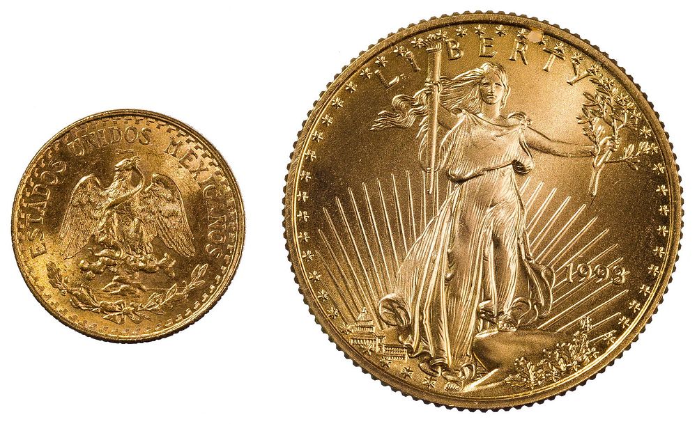 Lot 469: 1993 $10 Gold