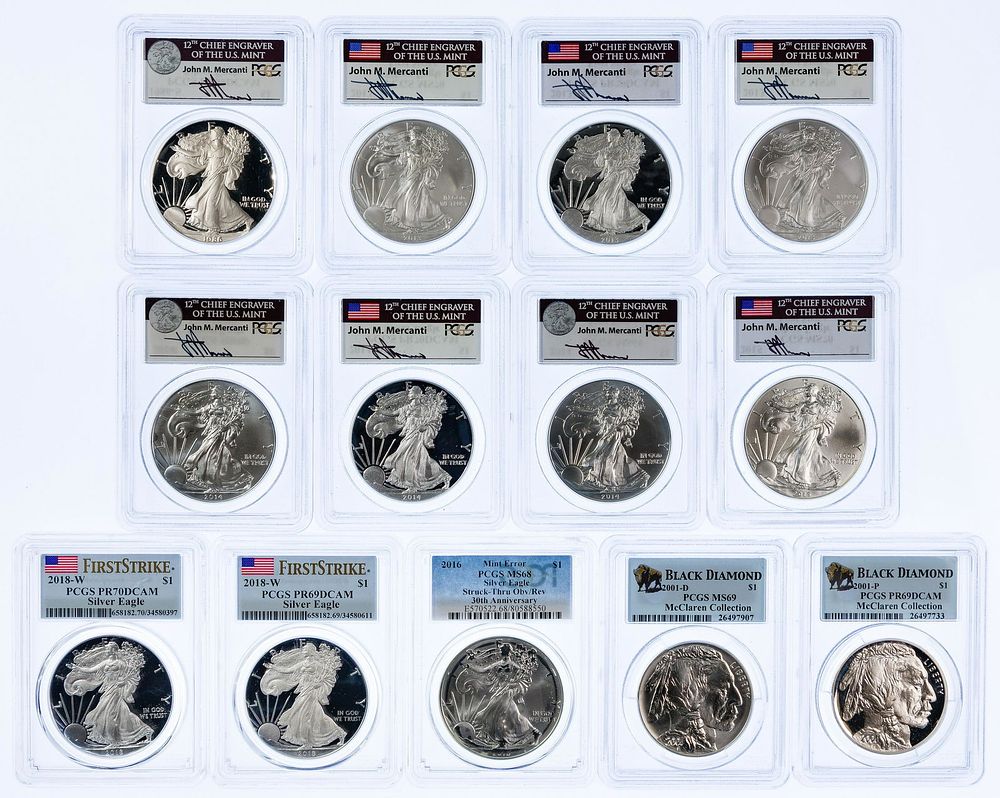Lot 480: Silver Eagle $1 Assortment
