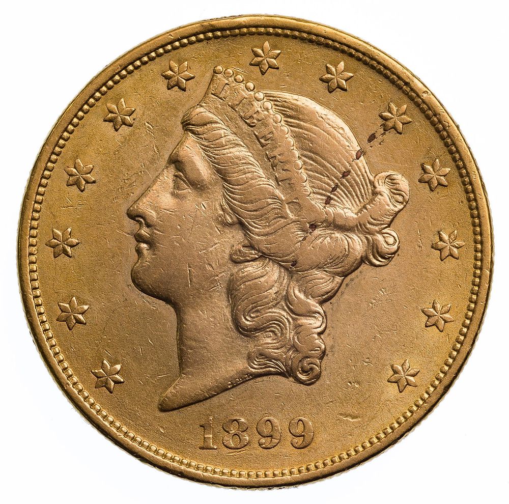 Lot 569: 1899 $20 Gold VF Details