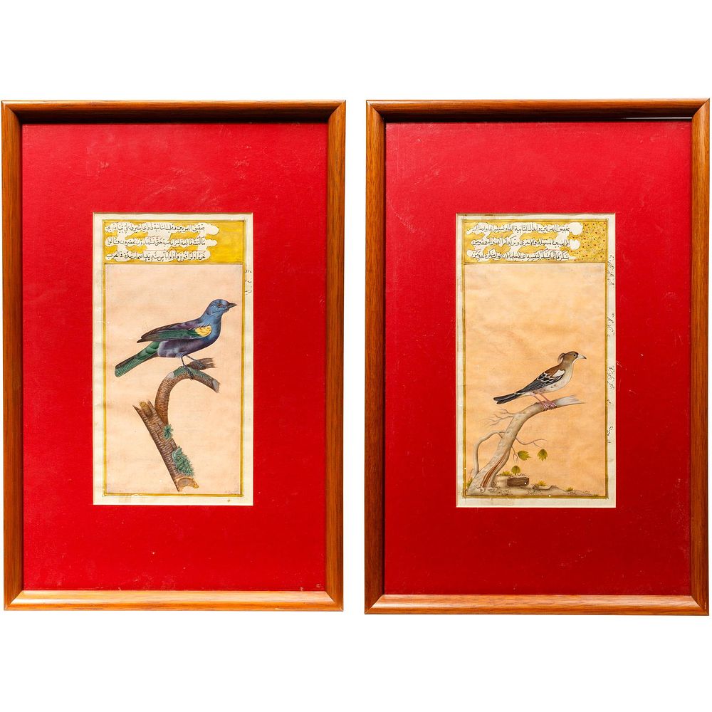 Lot 183: Persian Gouache on Paper Bird Illustrations